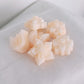 Golden Orchid Soy Wax Melts - Highly Scented, Pack of 6